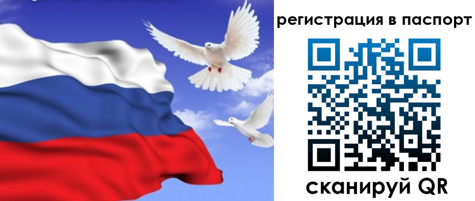 купить прописку в Никольском